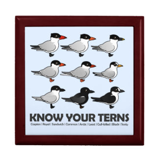 Know Your Terns Gift Box