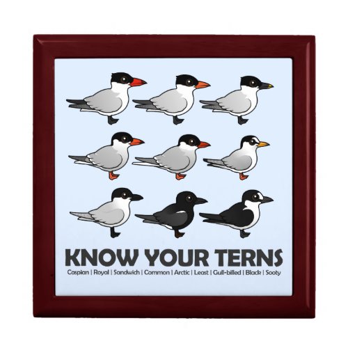 Know Your Terns Gift Box