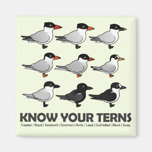 Know Your Terns Magnet