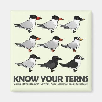 Know Your Terns Magnet