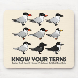 Know Your Terns Mouse Pad