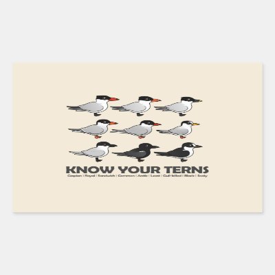 Know Your Terns Rectangular Sticker