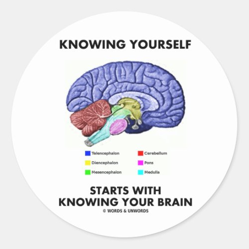 Knowing Yourself Starts With Knowing Your Brain Classic Round Sticker