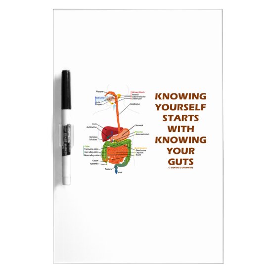 Knowing Yourself Starts With Knowing Your Guts Dry-Erase Board