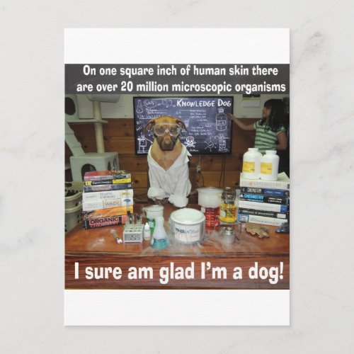 Knowledge Dog Microscopic Organisms on Skin Postcard