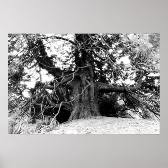 Knowledge Poster (Front)