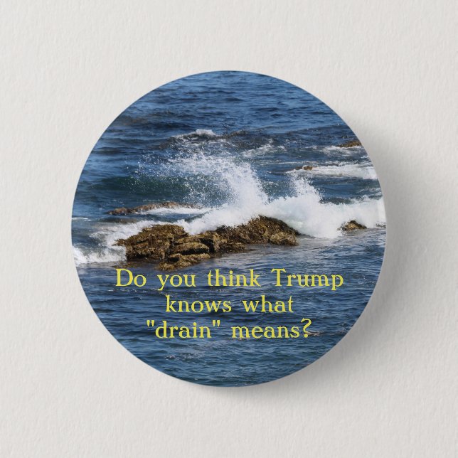 Knows what drain means? pinback button (Front)