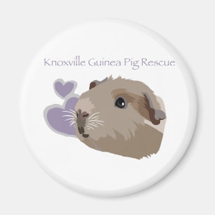Knoxville Guinea Pig Rescue Magnet