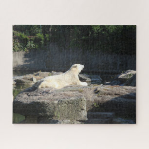 Knut the Polar Bear from the Berlin Zoo Jigsaw Puzzle