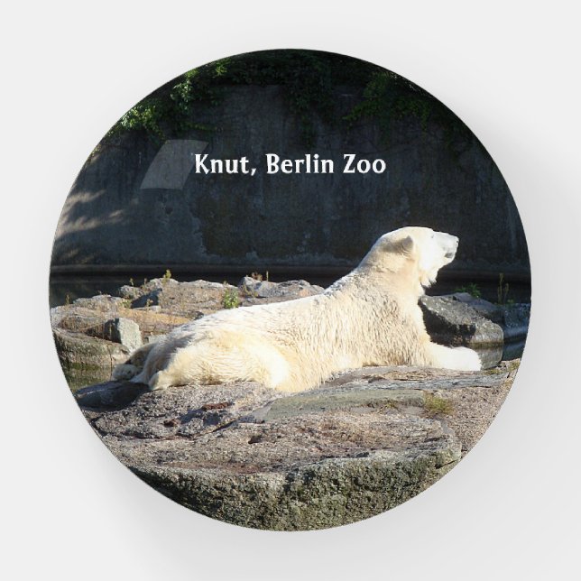 Knut the Polar Bear from the Berlin Zoo Paperweight (Front)