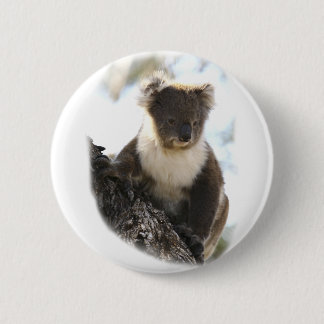 Koala 2 button