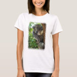 koala-34.jpg T-Shirt