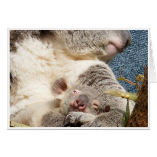 koala and baby cards (Front Horizontal)