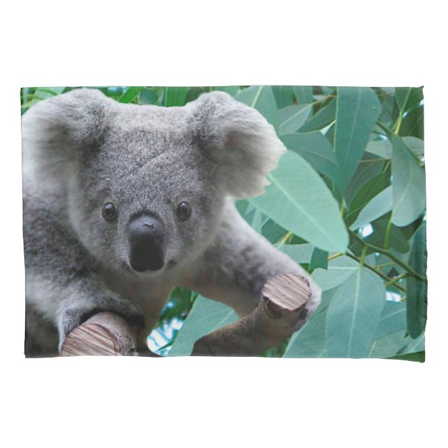 Koala and Eucalyptus Pillow Case (Front)