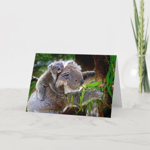 Koala and Joey Mothers Day Card