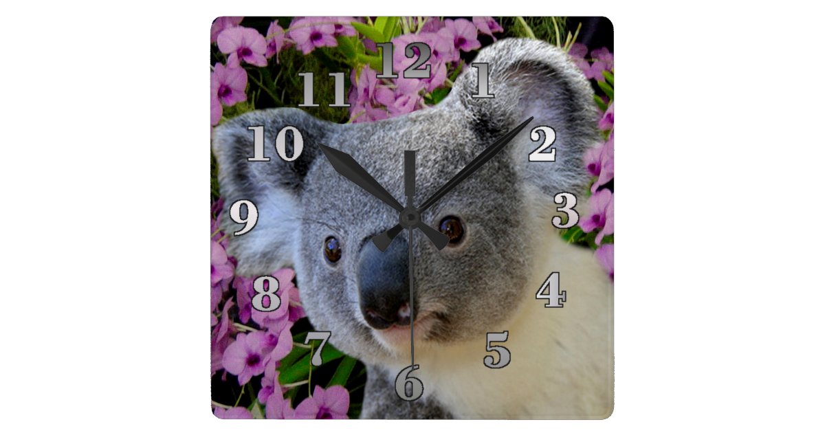Koala and Orchids Square Wall Clock Zazzle