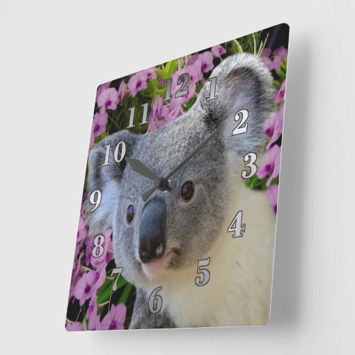 Koala and Orchids Square Wall Clock | Zazzle
