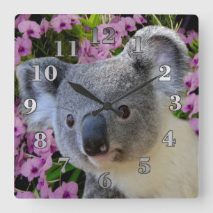 Koala and Orchids Square Wall Clock
