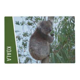 Koala Australia Animal Wildlife Green Placemat