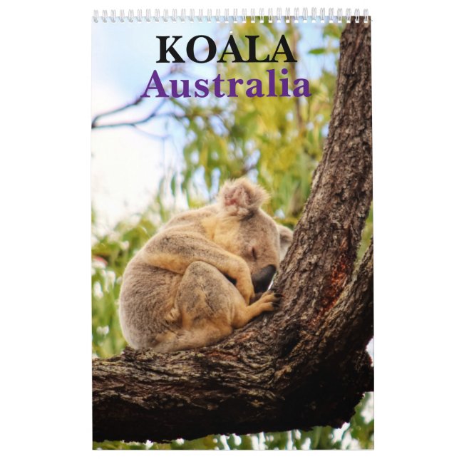 KOALA AUSTRALIA CALENDAR (Cover)