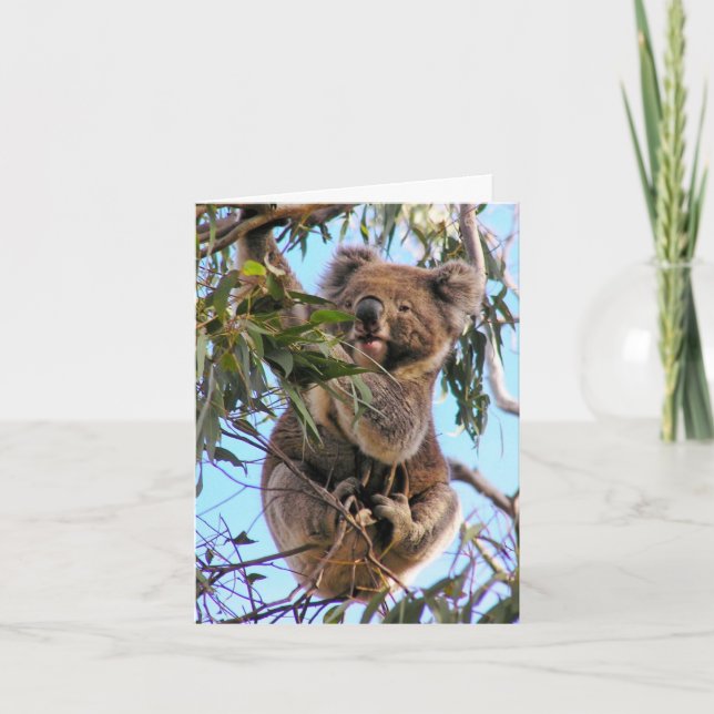 Koala Australia Greeting Card  (Front)