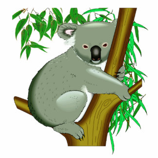 Koala Photo Statuettes, Cutouts & Sculptures | Zazzle