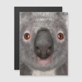 Koala Bear (Front/Back)