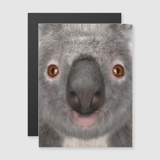 Koala Bear (Front/Back)