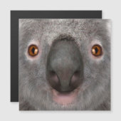 Koala Bear (Front/Back)