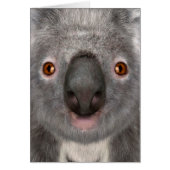 Koala Bear (Front)