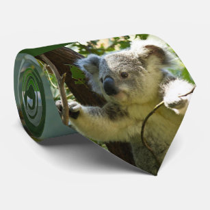 Koala bear -2, neck tie