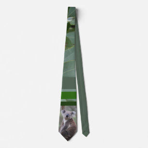 Koala bear -4, neck tie
