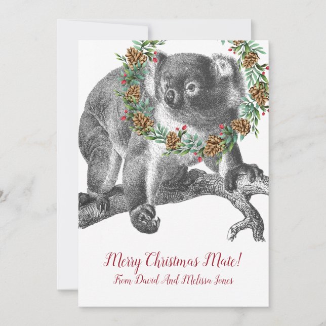 Koala Bear Aussie Christmas Greeting Holiday Card (Front)
