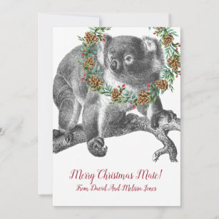 Holiday Koala, Holiday Card Set