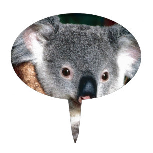 Koala Bear Australia Outback Country Animal Cute Cake Topper
