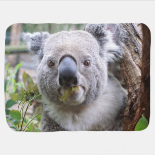 Koala Bear Baby Blanket