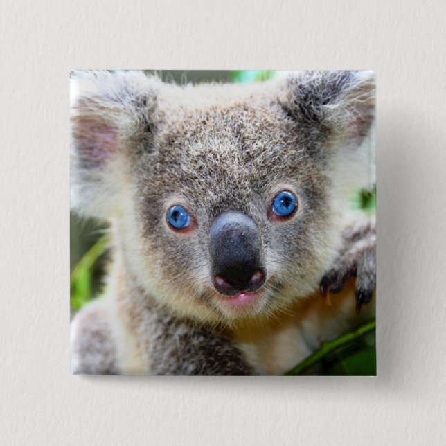 Koala Bear Button (Front)