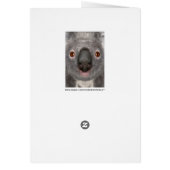 Koala Bear Cards (Back)