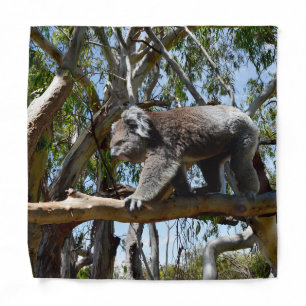 Koala Bear Cat Walk, Bandana