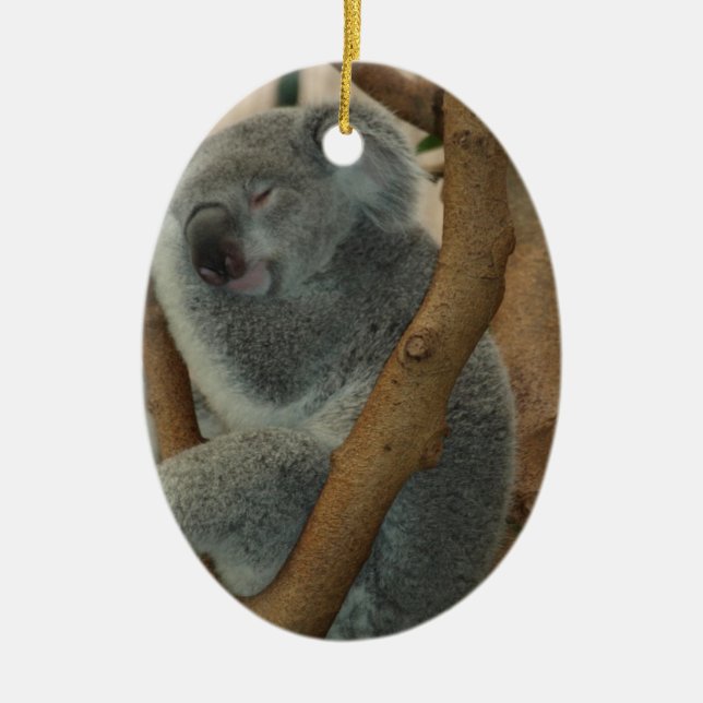 Koala Bear Ceramic Ornament (Front)