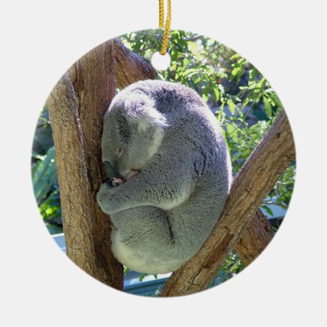 Koala Bear Ceramic Ornament (Front)