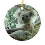 Koala Bear Ceramic Ornament