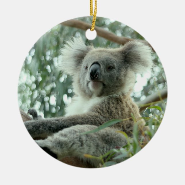 Koala Bear Ceramic Ornament (Front)