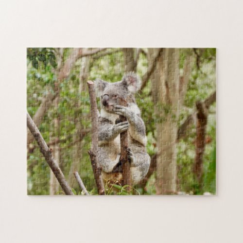 Koala Bear Climbing On A Bamboo Tree Wild Animal Jigsaw Puzzle