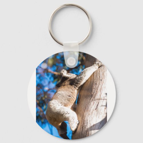 koala bear climbing tree in Australia Keychain