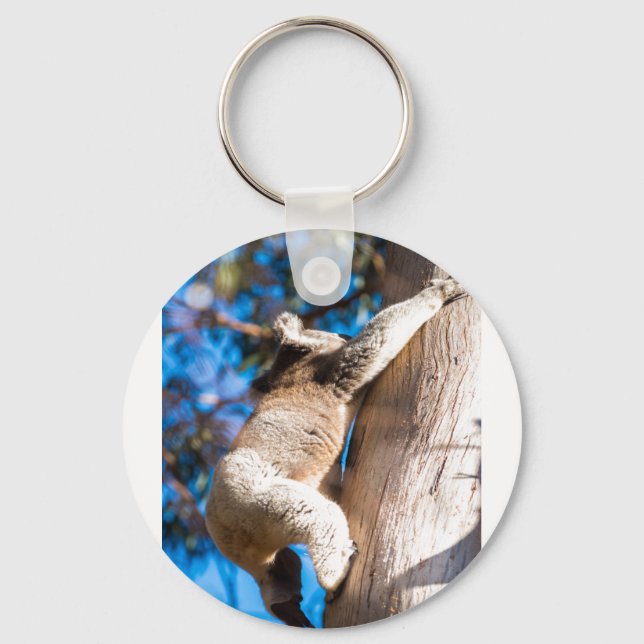 koala bear climbing tree in Australia Keychain (Front)