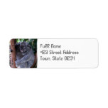 Koala Bear Cuddle Return Address Label