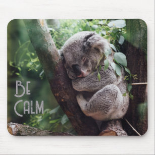 Koala Bear, Cute Animals, Mouse Pad