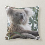 Koala Bear Facts Pillow