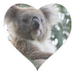 Koala Bear Facts Stickers